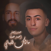 Malak 8albate (feat. Ahmad Hamieh) [حيدر زعيتر و أحمد حمية - مالك قلباتي] - Haydar Zaiter