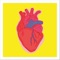 Love Tempo - BeatLove lyrics