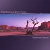 Wide Open Spaces - Single