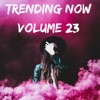 Beautiful Mistakes (feat. Megan Thee Stallion) by Maroon 5 iTunes Track 29