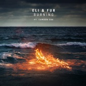 Burning (feat. Camden Cox) artwork