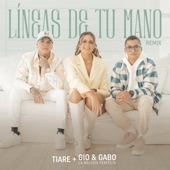 Lineas de Tu Mano (Remix) artwork