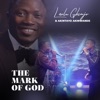 The Mark of God (feat. AKINTAYO AKINTUNDE) - Single