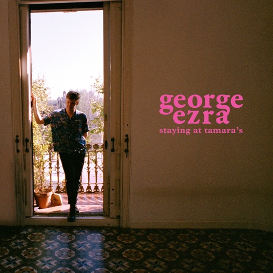 Cover artwork for Only a Human