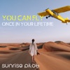 You Can Fly (Once in Your Lifetime) - Single