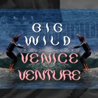 Venice Venture by Big Wild song reviws