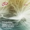 Symphony No. 3 "Polish": III. Andante elegiaco artwork