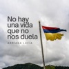 No Hay una Vida Que No Nos Duela - Single