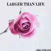 Larger Than Life song lyrics