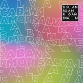 Amor Salvaje (feat. Snem K) [Paulor Remix] artwork