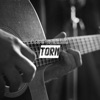 Torn - Single