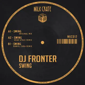 Swing (Dead Space Remix) by DJ Fronter song reviws