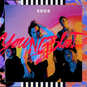5 Seconds of Summer - Youngblood (Petedown Club Mix) - Line Dance Music