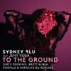 To the Ground (Remixes) - EP album lyrics, reviews, download