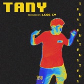 Tany artwork