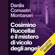 Danila Comastri Montanari - Cosimino Ruccellai e il mistero di vicolo degli angeli