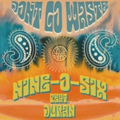Don't Go Waste (feat. DURAN) artwork