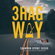 Shannon Byrne Susko - 3HAG WAY: The Strategic Execution System That Ensures Your Strategy Is Not a Wild-Ass-Guess! (Unabridged)