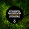 Crocodile (Riko Forinson Remix) - Eduardo McGregor lyrics