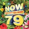Various Artists - NOW That's What I Call Music, Vol. 79  artwork