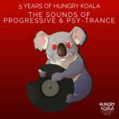 The Sounds of Progressive & Psy-Trance (5 Years of HKR) artwork