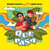 Que Pasa (feat. Liquid Silva) artwork