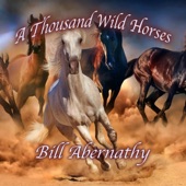 A Thousand Wild Horses artwork