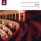 Verdi: Falstaff - Sul fil d'un soffio etesio (Instrumental) artwork