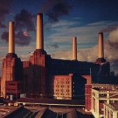 Pink Floyd - Pigs (Three Different Ones) [2011 - Remaster]