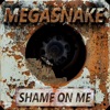 Shame on Me - Single
