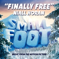 NIALL HORAN - Finally Free Chords and Lyrics