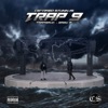 Trap 9