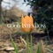 Good Intentions (feat. Broadside & Oliver Baxxter) - Single