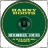 Murderer Sound (Remix) - Single