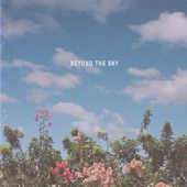 Beyond the Sky artwork