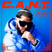 C.A.N.T. artwork