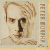 Peter Murphy - His Circle and Hers Meet