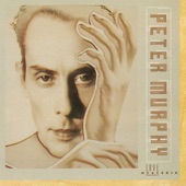 Peter Murphy - Indigo Eyes