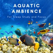 Relaxing Aquarium Fish Tank Sounds artwork