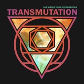 Transmutation: Sad Wizard Vibes Instrumentals artwork