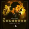 El Cachorro (En Vivo) - Single album lyrics, reviews, download