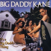 Big Daddy Kane - Ain't No Stoppin Us Now