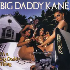 It's a Big Daddy Thing by Big Daddy Kane album reviews, ratings, credits