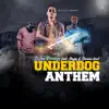 Underdog Anthem (feat. Damon Karl & Skypp) - Single album lyrics, reviews, download