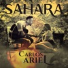 Sahara - Single