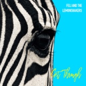 Feli and the LemonShakers - Get Through