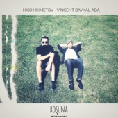 Boşuna artwork