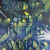 In the Weeds - Single