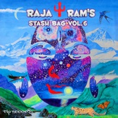 Stash Bag, Vol. 6 artwork