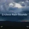 !!!" Endless Rain Sounds "!!! album lyrics, reviews, download